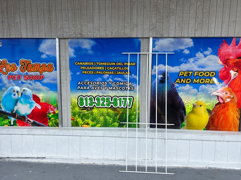 Pet store storefront with full-color window graphics